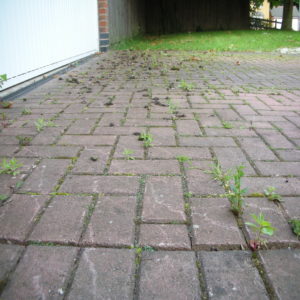 Block Paving Before Cleaning